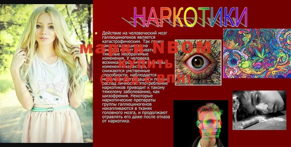 гашик Заволжск