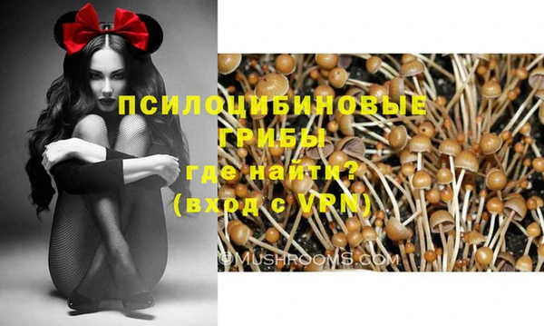 гашик Заволжск