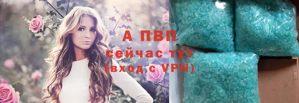 амф Заволжье