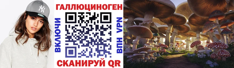 Псилоцибиновые грибы Magic Shrooms  Купить где  Губаха 